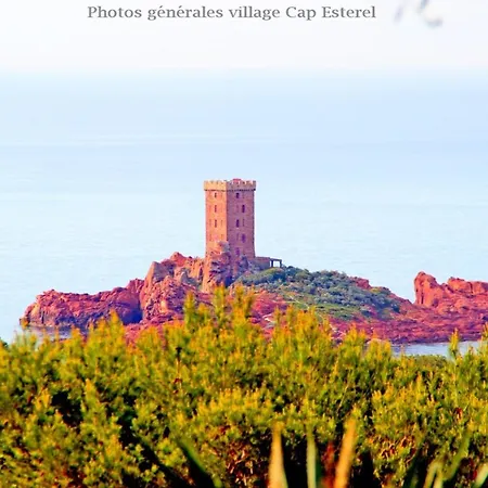 Apartamento Cap Esterel : 2 Pieces Rez De Jardin Mer - C4 279la *