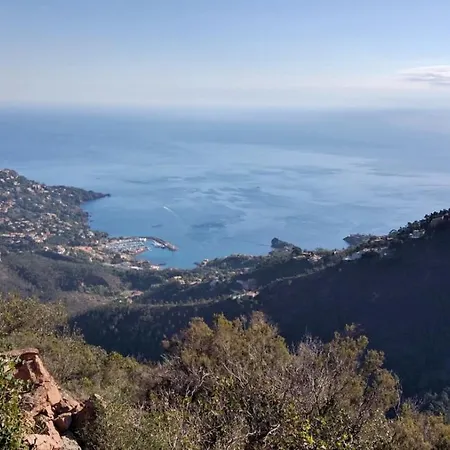Apartment Cap Esterel : 2 Pieces Rez De Jardin Mer - C4 279la